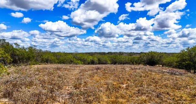 728  Cr 315, Stockdale, TX 78160 — photo 6