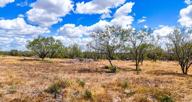 728  Cr 315, Stockdale, TX 78160 — photo 7
