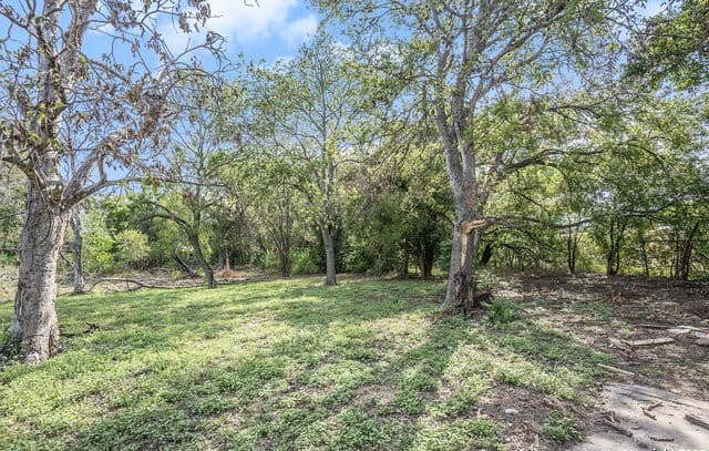 539  Bundy, San Antonio, TX 78220 — photo 2
