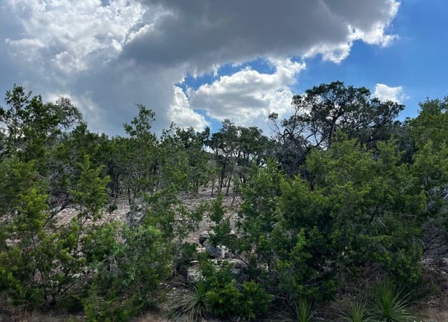 320  Lexington Pass, Canyon Lake, TX 78133 — photo 2