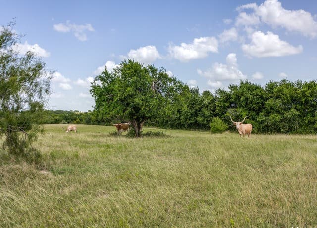 2186  Fm 470, Bandera, TX 78003 — photo 20