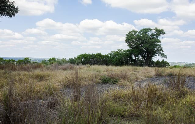 1881  Paradise Pkwy, Canyon Lake, TX 78133 — photo 12