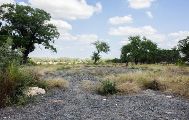 1881  Paradise Pkwy, Canyon Lake, TX 78133 — photo 13