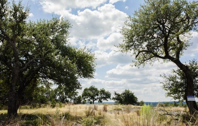 1881  Paradise Pkwy, Canyon Lake, TX 78133 — photo 14