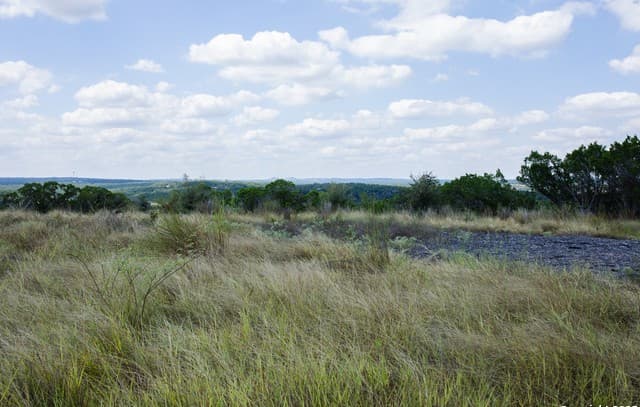 1881  Paradise Pkwy, Canyon Lake, TX 78133 — photo 2