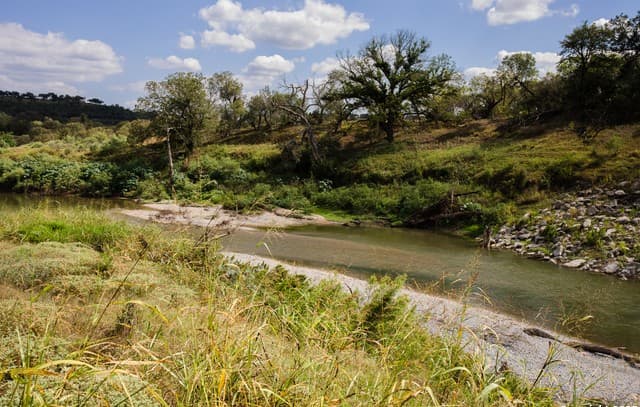 1881  Paradise Pkwy, Canyon Lake, TX 78133 — photo 22