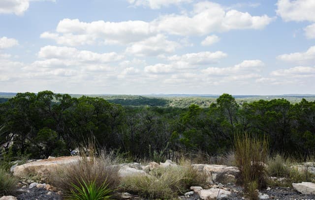 1881  Paradise Pkwy, Canyon Lake, TX 78133 — photo 4