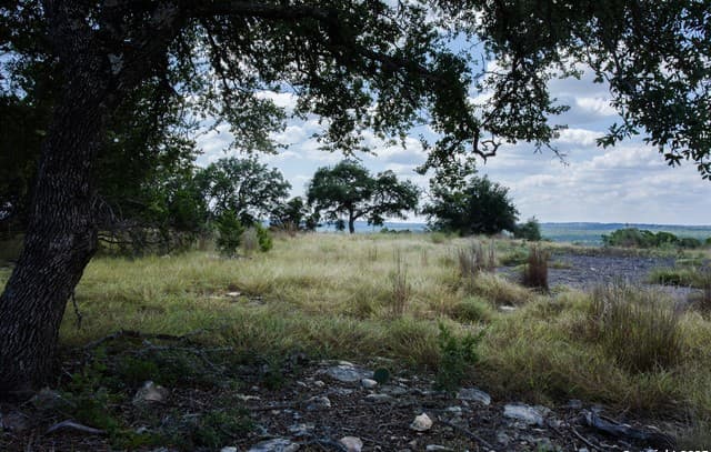1881  Paradise Pkwy, Canyon Lake, TX 78133 — photo 6