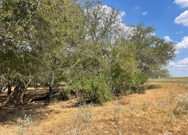 713  County Road 232, Floresville, TX 78114 — photo 10