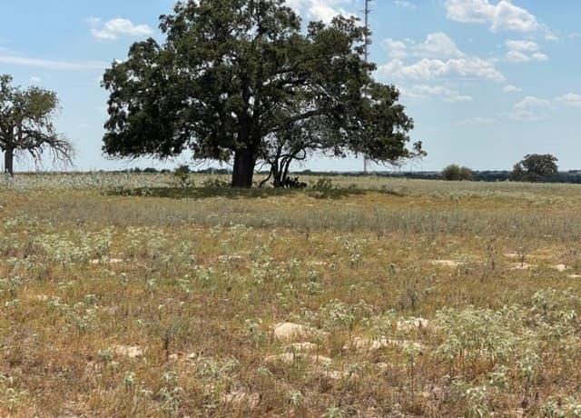 713  County Road 232, Floresville, TX 78114 — photo 11