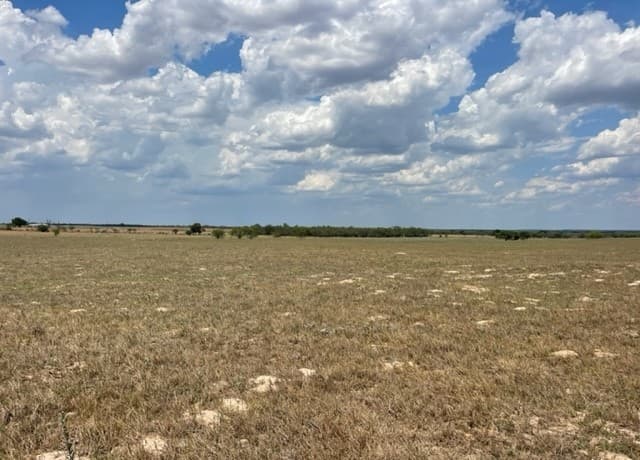 713  County Road 232, Floresville, TX 78114 — photo 7