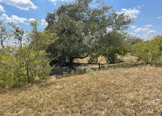 713  County Road 232, Floresville, TX 78114 — photo 9