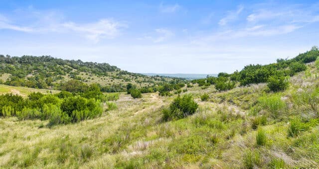 TBD  Lot 119 Falling Oak Dr, Blanco, TX 78606 — photo 18
