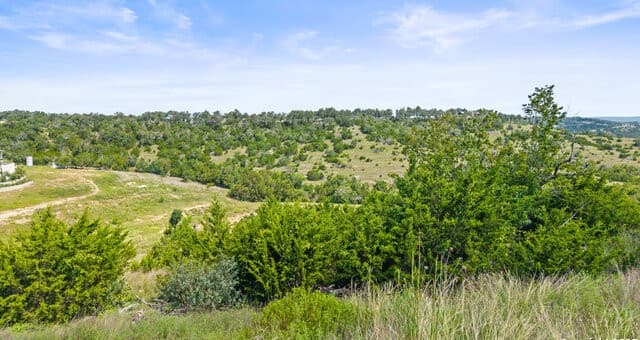 TBD  Lot 119 Falling Oak Dr, Blanco, TX 78606 — photo 24