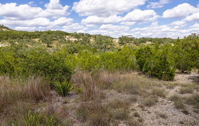 11309  Sloanes Ridge, San Antonio, TX 78255 — photo 13