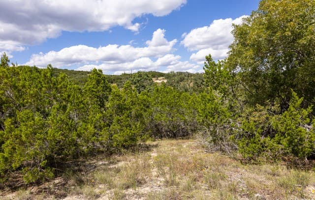11309  Sloanes Ridge, San Antonio, TX 78255 — photo 16