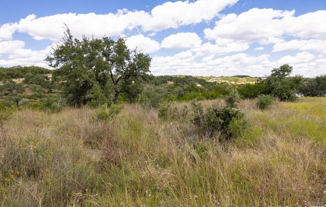 11309  Sloanes Ridge, San Antonio, TX 78255 — photo 7