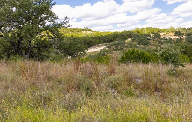 11309  Sloanes Ridge, San Antonio, TX 78255 — photo 9