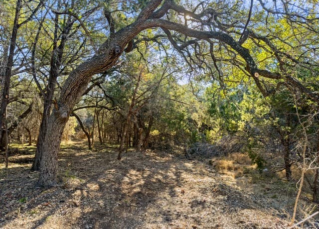 2095 Desiree Street, Canyon Lake, TX 78133
