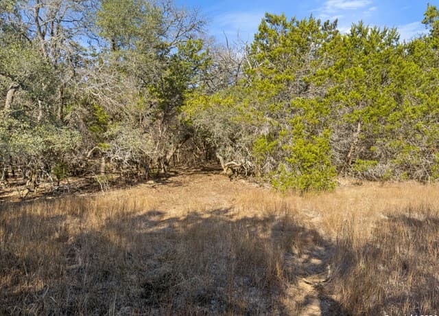 2095  Desiree Street, Canyon Lake, TX 78133 — photo 15