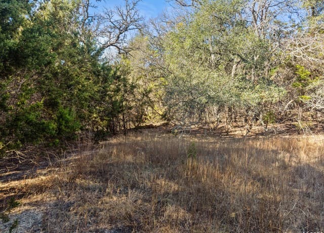 2095  Desiree Street, Canyon Lake, TX 78133 — photo 16