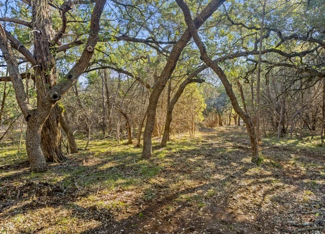 2095  Desiree Street, Canyon Lake, TX 78133 — photo 2