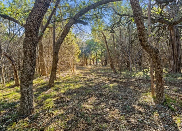 2095  Desiree Street, Canyon Lake, TX 78133 — photo 3
