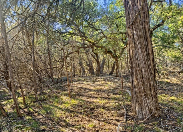 2095  Desiree Street, Canyon Lake, TX 78133 — photo 4