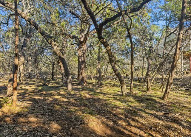 2095  Desiree Street, Canyon Lake, TX 78133 — photo 5