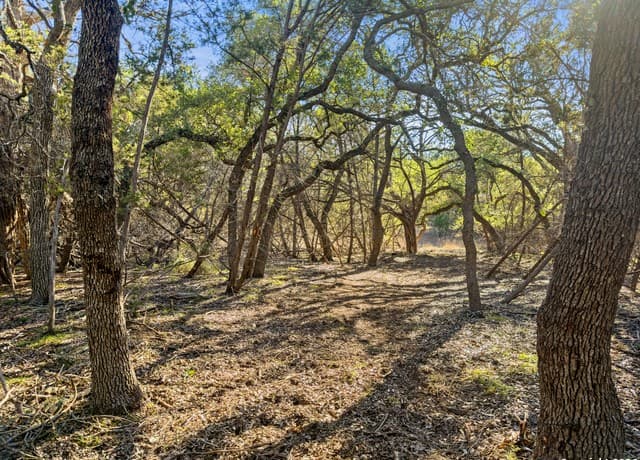 2095  Desiree Street, Canyon Lake, TX 78133 — photo 7