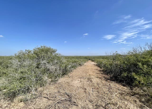3272  County Road 1515, Moore, TX 78057 — photo 5