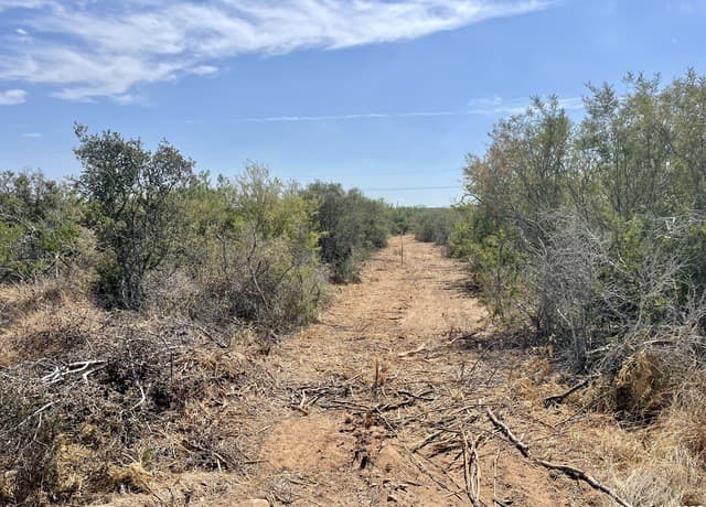 3272  County Road 1515, Moore, TX 78057 — photo 6