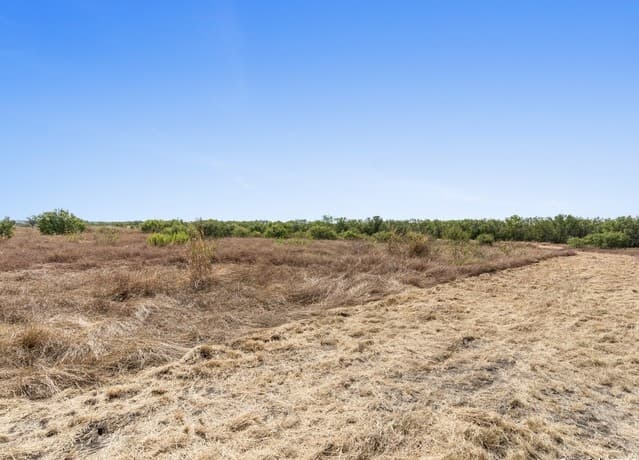 2415  Fm 1518, St Hedwig, TX 78152 — photo 12