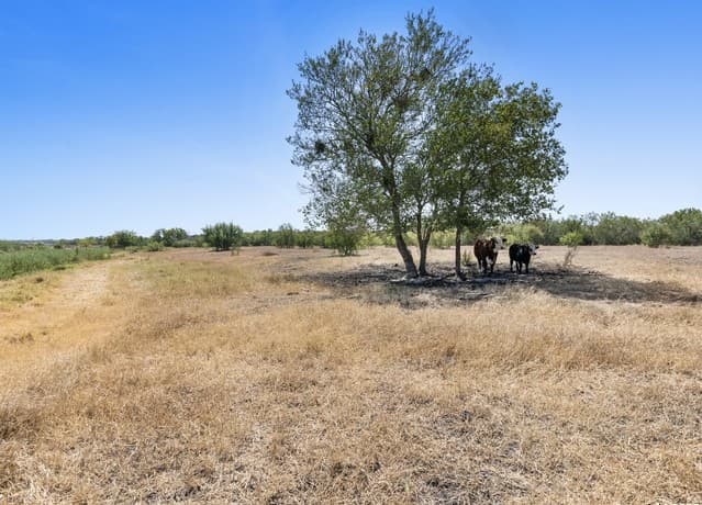 2415  Fm 1518, St Hedwig, TX 78152 — photo 7