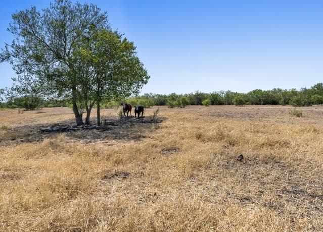 2415  Fm 1518, St Hedwig, TX 78152 — photo 8