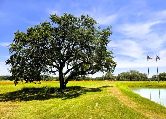 220 County Road 4402, Dilley, TX 78017