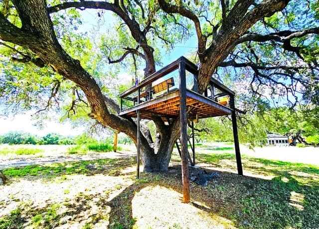 220  County Road 4402, Dilley, TX 78017 — photo 18