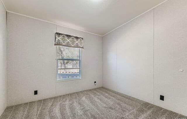 23011  Shady Forest Dr, Elmendorf, TX 78112 — photo 15