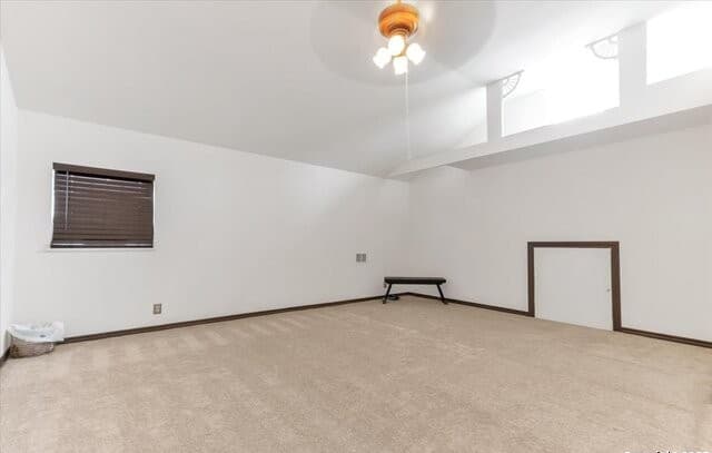 160  County Road 6860, Natalia, TX 78059 — photo 19