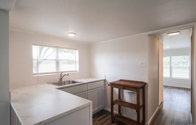 5515  Fm 462, Moore, TX 78057 — photo 10