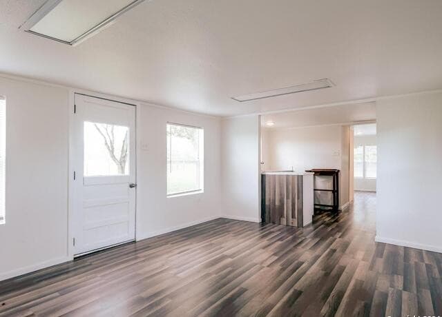 5515  Fm 462, Moore, TX 78057 — photo 13