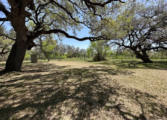 5515  Fm 462, Moore, TX 78057 — photo 18
