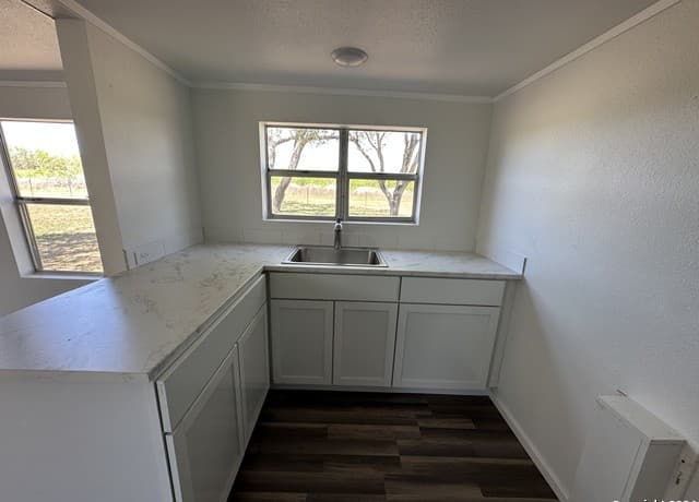 5515  Fm 462, Moore, TX 78057 — photo 21