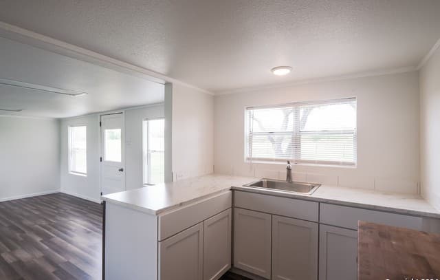 5515  Fm 462, Moore, TX 78057 — photo 7