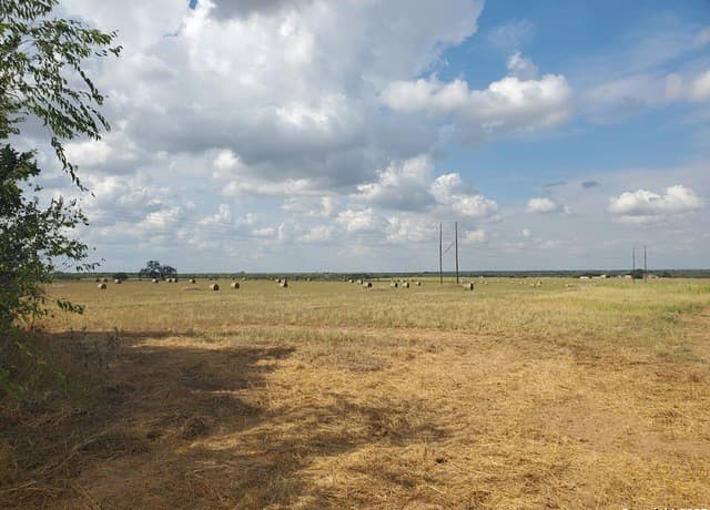 7915  County Road 2400, Moore, TX 78057 — photo 10