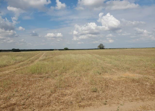 7915  County Road 2400, Moore, TX 78057 — photo 6