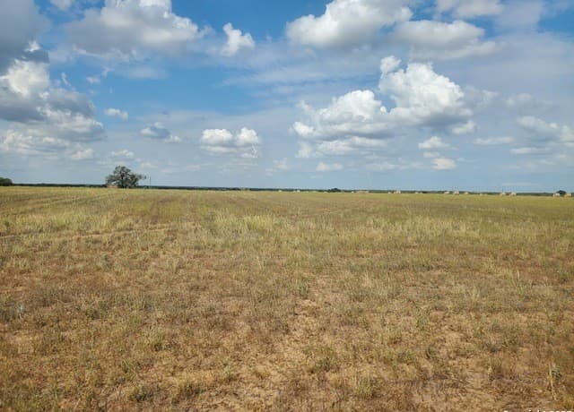 7915  County Road 2400, Moore, TX 78057 — photo 8