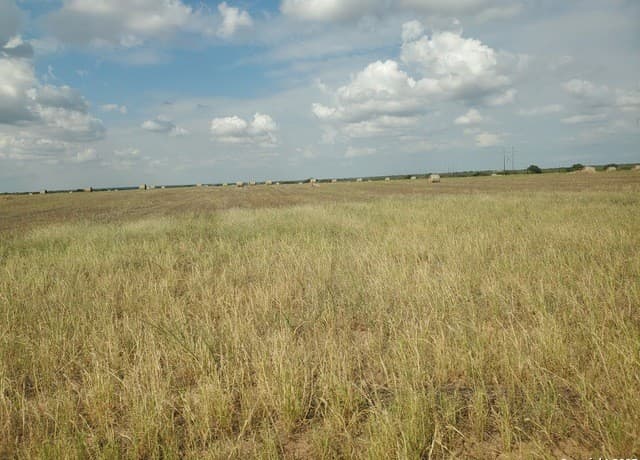 7915  County Road 2400, Moore, TX 78057 — photo 9