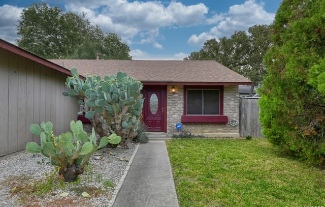 5818  Brambletree, San Antonio, TX 78247 — photo 15