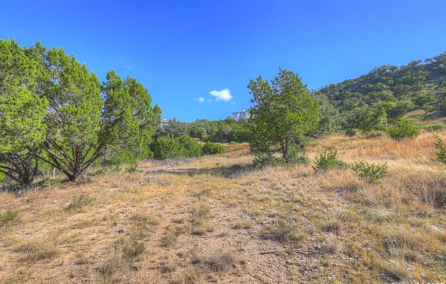 2416  Triple Peak, Canyon Lake, TX 78133 — photo 10